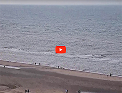 webcam thalassa beachhouses_zandvoort